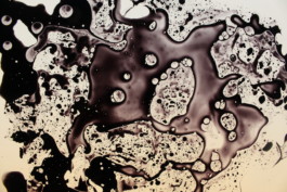 raumklasse — udk berlin