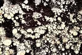 raumklasse — udk berlin