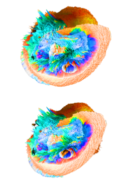 raumklasse — udk berlin