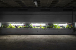 raumklasse — udk berlin