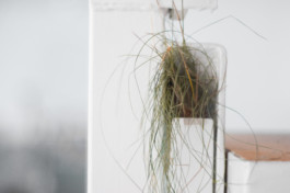 raumklasse — udk berlin