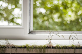 raumklasse — udk berlin