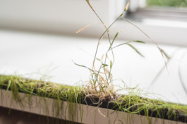 raumklasse — udk berlin