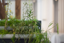 raumklasse — udk berlin