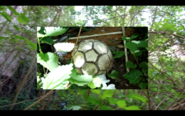 raumklasse — udk berlin