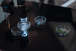 raumklasse — udk berlin