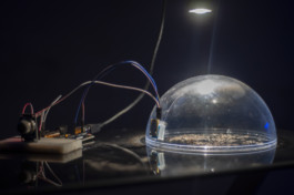 raumklasse — udk berlin