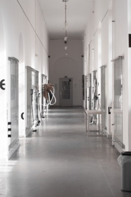 raumklasse — udk berlin