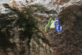 raumklasse — udk berlin