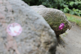 raumklasse — udk berlin