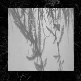raumklasse — udk berlin