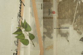 raumklasse — udk berlin
