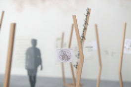 raumklasse — udk berlin