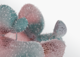 raumklasse — udk berlin