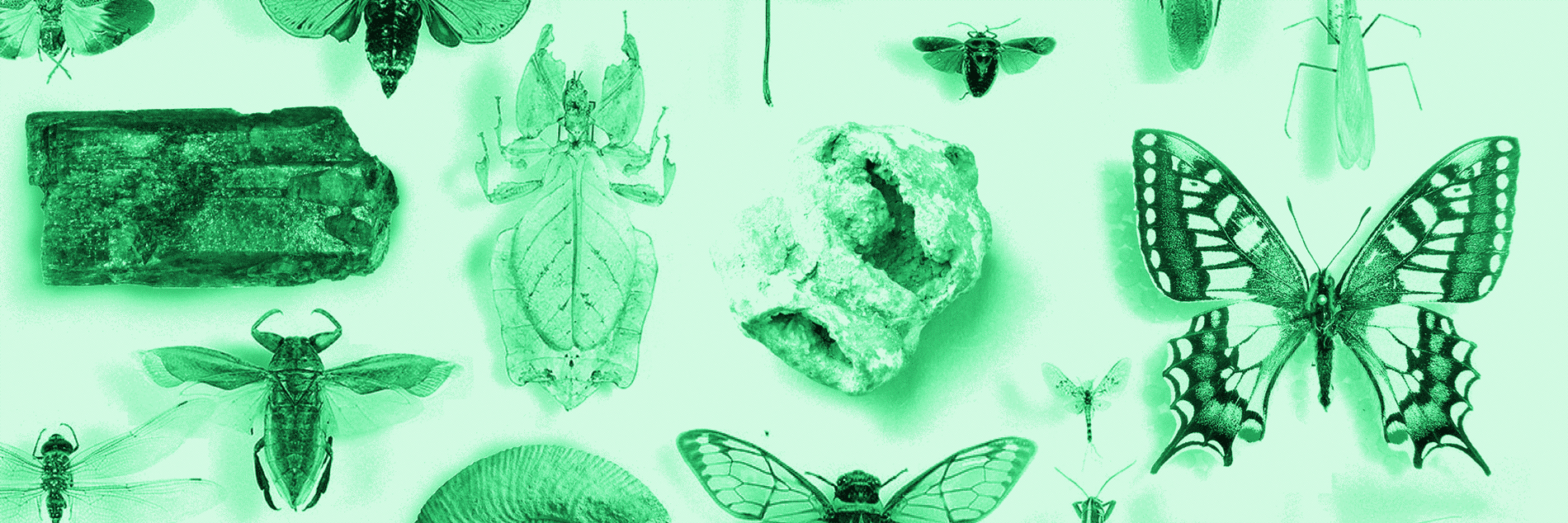 raumklasse — udk berlin