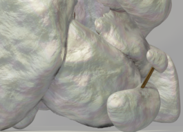 raumklasse — udk berlin