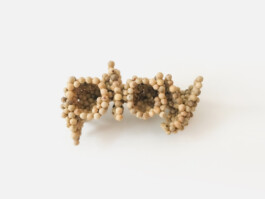 raumklasse — udk berlin