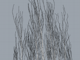 raumklasse — udk berlin