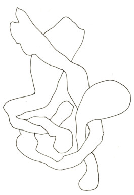 raumklasse — udk berlin