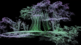 raumklasse — udk berlin