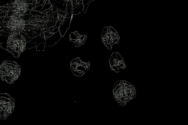 raumklasse — udk berlin