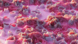 raumklasse — udk berlin