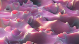 raumklasse — udk berlin