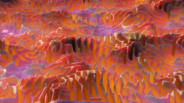 raumklasse — udk berlin