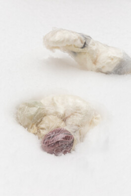 raumklasse — udk berlin