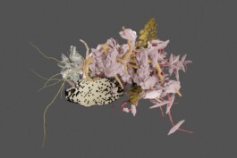 raumklasse — udk berlin