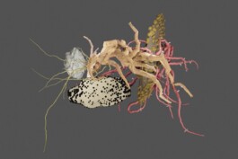 raumklasse — udk berlin