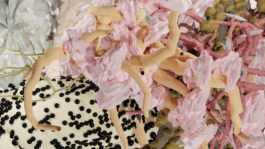 raumklasse — udk berlin