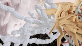 raumklasse — udk berlin