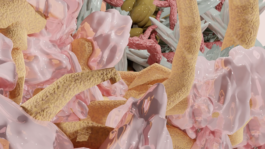 raumklasse — udk berlin