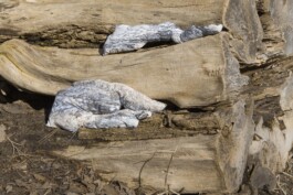 raumklasse — udk berlin