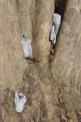 raumklasse — udk berlin