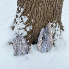 raumklasse — udk berlin