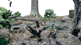 raumklasse — udk berlin