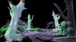 raumklasse — udk berlin