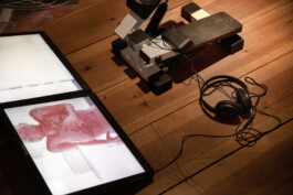 raumklasse — udk berlin