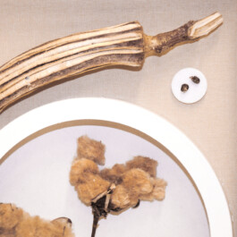 raumklasse — udk berlin