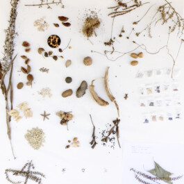 raumklasse — udk berlin