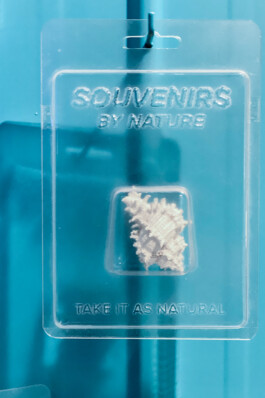 raumklasse — udk berlin