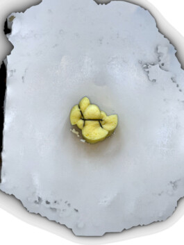 raumklasse — udk berlin