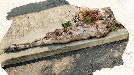 raumklasse — udk berlin