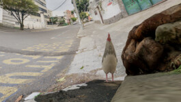 raumklasse — udk berlin