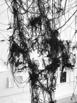 raumklasse — udk berlin