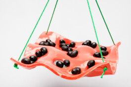 raumklasse — udk berlin