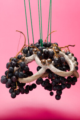 raumklasse — udk berlin