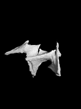 raumklasse — udk berlin